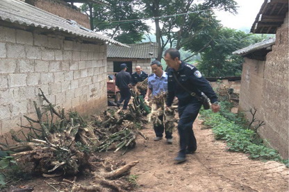 华宁森林公安突击清查么波冲村滥挖野生植物-