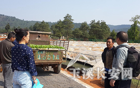 QQ��ͼ20160414162709