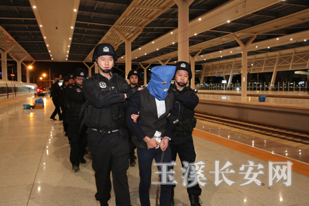 押送犯罪嫌疑人归案