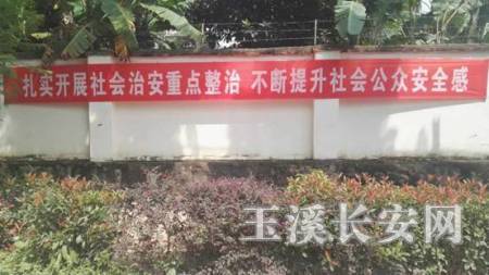 易门县十街乡开展群众安全感满意度调查宣传活