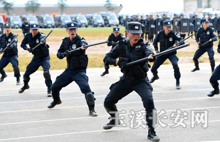 玉溪市全面部署党的十九大安保维稳信访工作并