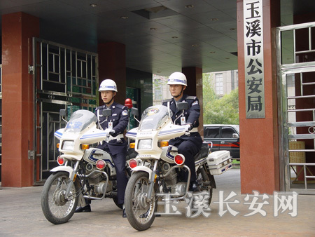 点击图片查看详情 玉溪城区常住人口数_统计公报 玉溪市政府信息公开(2)