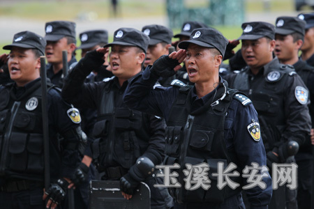 玉溪城区常住人口数_统计公报 玉溪市政府信息公开(3)