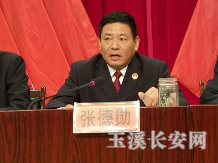 张德勋讲话