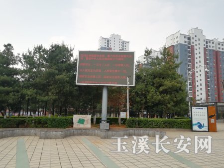 澄江化石委扎实开展《全民国家安全教育日》