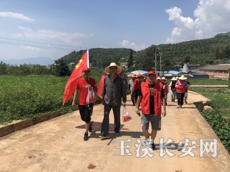 澄江县人社局积极参与“森林抚仙湖”义务植树造林活动