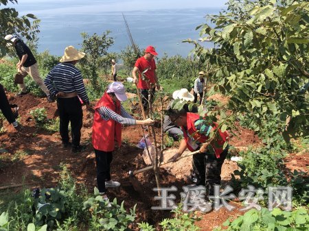 澄江县人社局积极参与“森林抚仙湖”义务植树造林活动1