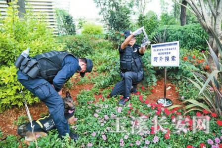 玉溪市公安局刑侦支队民警带警犬展示野外枪弹搜索