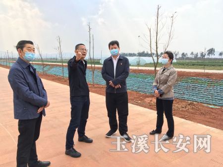 微信图片_20200318150925