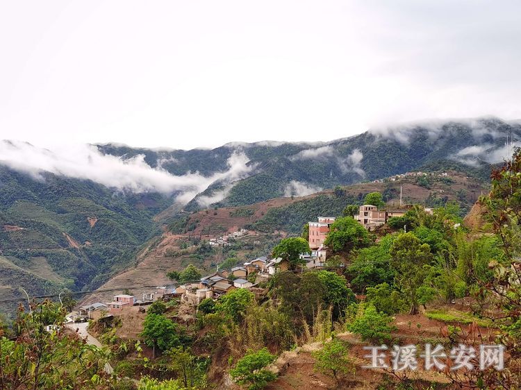 浪树村风光