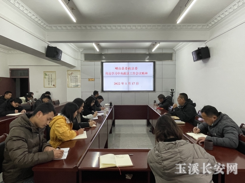 中央政法会议精神