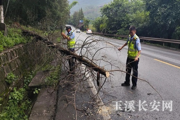 ΢ͼƬ_20240809110824