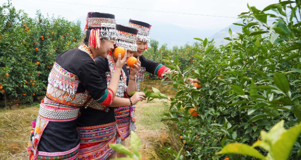 ΢ͼƬ_2025-11-18_094953_965