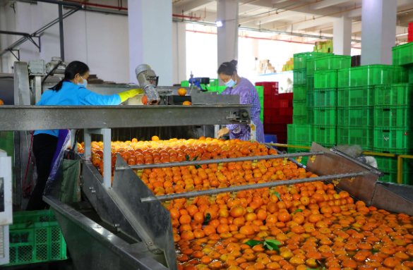 ΢ͼƬ_2025-11-18_094957_484