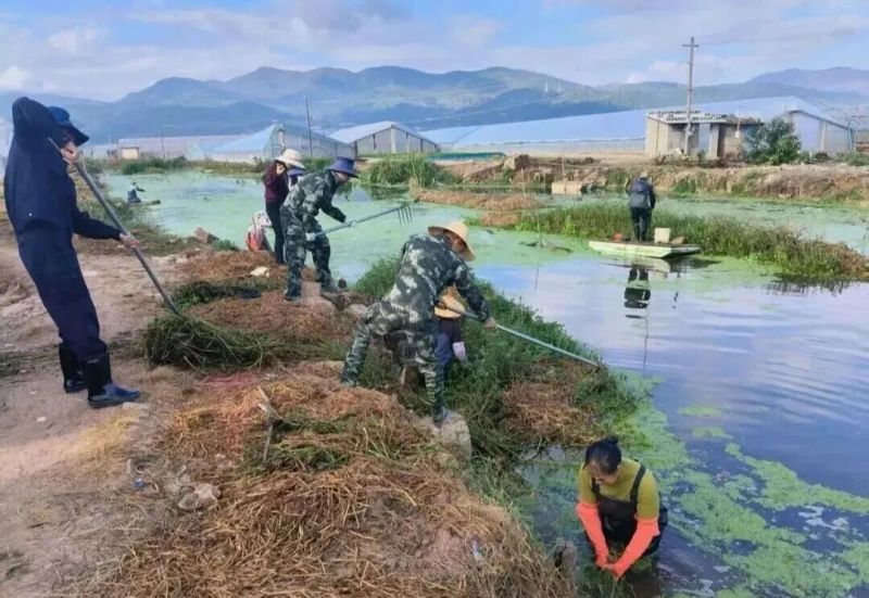 ΢ͼƬ_2025-11-18_095359_126