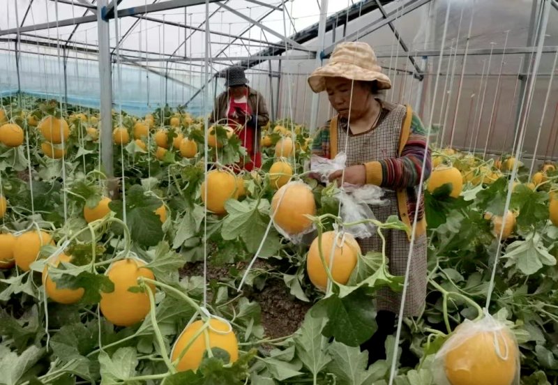 ΢ͼƬ_2025-11-18_095402_832