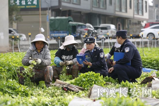 微信图片_20251118154649_311_5