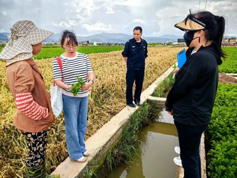 ΢��ͼƬ_2025-12-11_112914_125