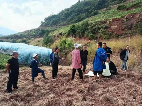 ΢��ͼƬ_2025-12-24_112757_281