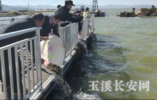 微信图片_20260205100537_470_5