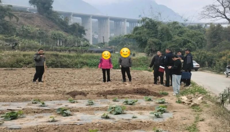 ΢��ͼƬ_2026-02-11_150216_043