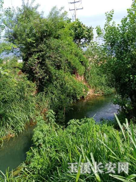 ΢��ͼƬ_20200521094849