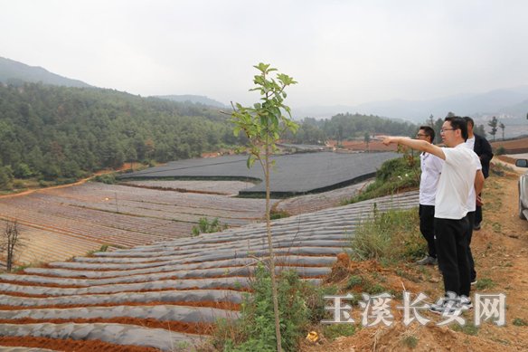 ΢��ͼƬ_20210429090528