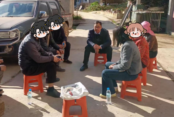 图片3